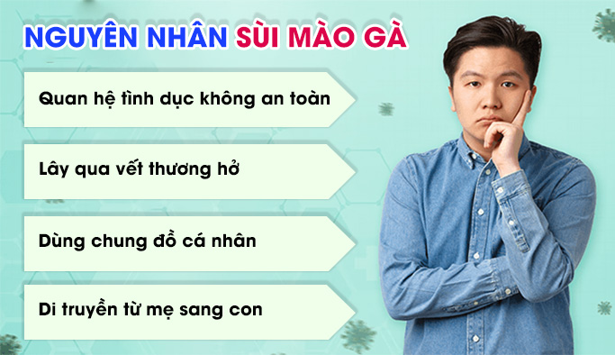 Nguyên nhân nào gây bệnh sùi mào gà?